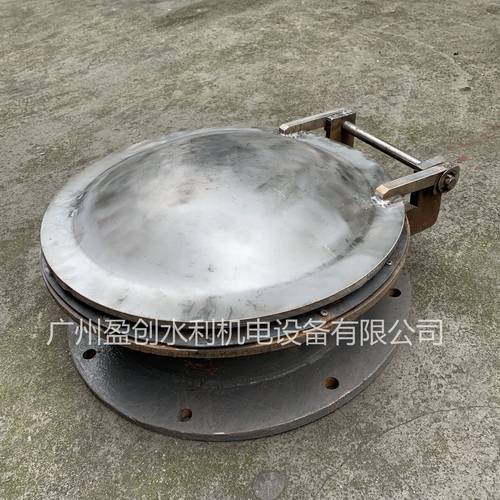 不锈钢拍门